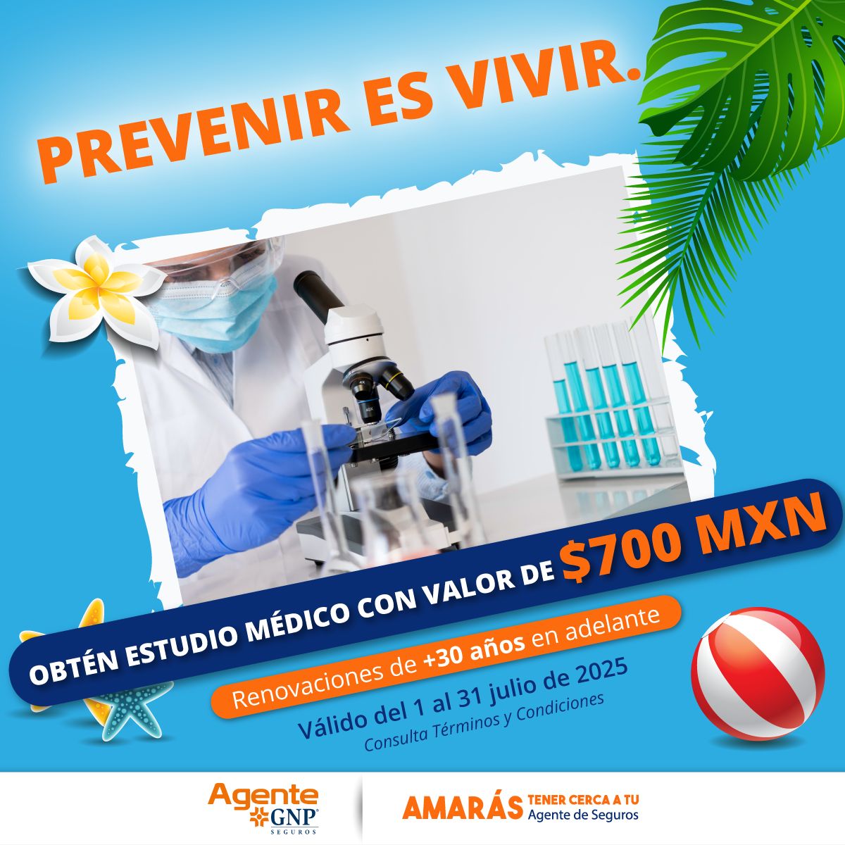 renovaciones
